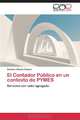 El Contador Publico en un contexto de PYMES: Servicios con valor agregado (Spanish Edition), Gustavo Alberto Simaro 