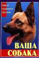 Ваша собака. 1000 советов - (Карманная библиотека), М. Дороган, В. Челнокова 