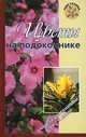 Цветы на подоконнике, О. В. Бердникова, А. В. Борисова 