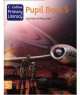 Collins Primary Literacy Pupil Book 5, Kay Hiatt, Mary Green 