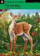 Yearling, The Bk +R Pack, Marjorie Kinnan Rawlings 