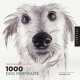 1 000 Dog Portraits. From the People Who Love Them, Robynne Raye 