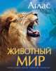 Животный мир. Иллюстрированный атлас, Чана Бамбарадения, Дейвид Вудрафф, Джошуа Гинзберг 