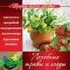 Природа дарит здоровье. Лечебные травы и ягоды, Полякова Е. 