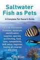 Saltwater Fish as Pets. Facts & Information, Lolly Brown 