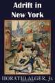 Adrift in New York, Tom and Florence Braving the World, Horatio Alger 