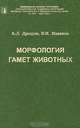 Морфология гамет животных, А. Л. Дроздов, В. Н. Иванков 