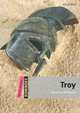 Troy: Starter (+ CD-ROM), 