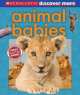 Discover More. Animal Babies, Andrea Pinnington 