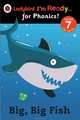Big, Big Fish: Level 7, 