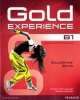Gold Experience B1. Students' Book (+ DVD), Carolyn Barraclough 