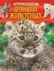 Детеныши животных. Детская энциклопедия, Травина И. В. 