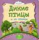 Дикие птицы и их птенцы. Литературно-художественное издание для чтения родителями детям., Вера Мельник 
