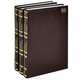 Новый большой англо-русский словарь / New English-Russian Dictionary (комплект из 3 книг), 
