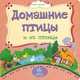 Домашние птицы и их птенцы: литературно-художественное издание для чтения родителями детям., Вера Мельник 