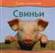 Свиньи, 