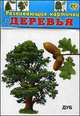 Развивающие карточки. Деревья. 12 карточек, 