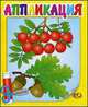 Аппликация. Рябина. Книжка-картинка, 