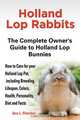 Holland Lop Rabbits The Complete Owner