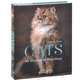 Cats: An Illustrated Miscellany, Frederic Vitoux 