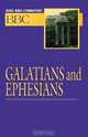 Basic Bible Commentary Volume 24 Galatians and Ephesians, Abingdon Press 