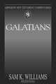 Abingdon New Testament Commentary - Galatians, Sam K. Williams 
