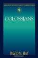 Abingdon New Testament Commentary - Colossians, David M. Hay 