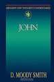 Abingdon New Testament Commentary - John, Moody D. Smith 