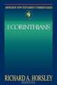 Abingdon New Testament Commentary - 1 Corinthians, Richard A. Horsley 