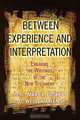 Between Experience and Interpretation, O. Wesley Jr. Allen 