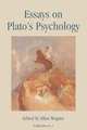 Essays on Plato