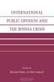 International Public Opinion and the Bosnia Crisis, Malcolm Penny 