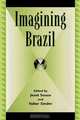 Imagining Brazil, Jessz Souza 