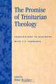 Promise of Trinitarian Theology, Elmer M. Colyer 
