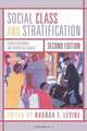 Social Class and Stratification, 