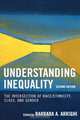 Understanding Inequality, Barbara A. Arrighi 