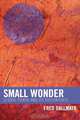Small Wonder, Fred R. Dallmayr 