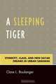 A Sleeping Tiger, Clare L. Boulanger 