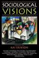 Sociological Visions, Kai Erickson 