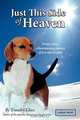 Just This Side of Heaven, Timothy Glass 