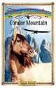 Condor Mountain, Angela Dorsey 