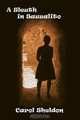 A Sleuth in Sausalito, Carol a. Sheldon 