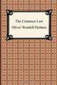 The Common Law, Oliver Wendell Holmes 