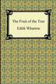 The Fruit of the Tree, Edith Wharton 