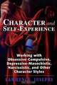 Character and Self-Experience, Lawrence Josephs 