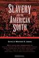 Slavery and the American South, 