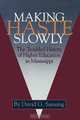 Making Haste Slowly, David G. Sansing 
