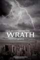 Manifesting the Wrath, Dianne Marshall 