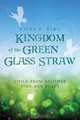 Kingdom of the Green Glass Straw, Vicki A. King 