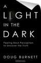 A Light in the Dark, Doug Burnett 
